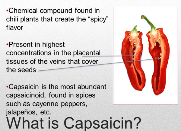 Capsaicin powder bulk Capsaicin powder bulk