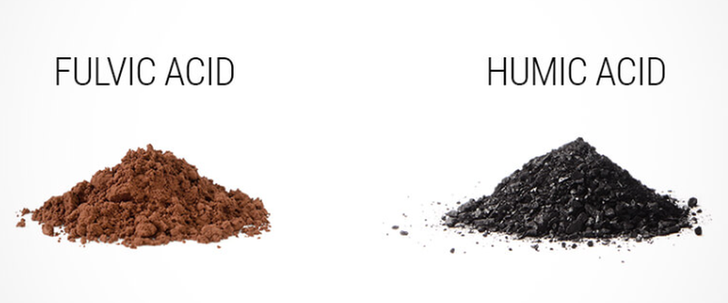 Choosing the Right Humic Acid Product Choosing the Right Humic Acid Product
