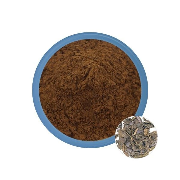 Folium-Isatidis extract