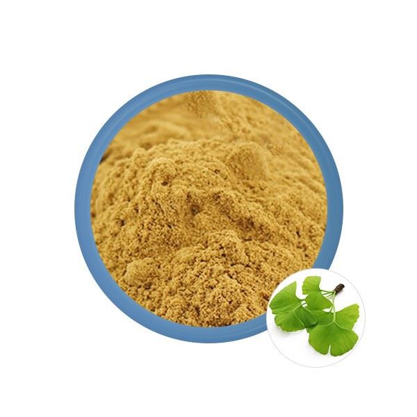 Ginkgo-biloba-extract-powder