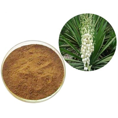ผง Yucca ใช้สำหรับอะไร